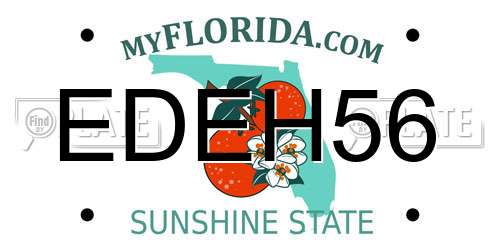 EDEH56 Florida License Plate