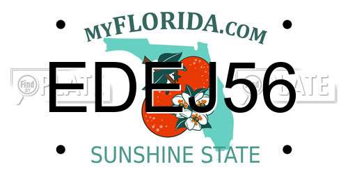 EDEJ56 Florida License Plate