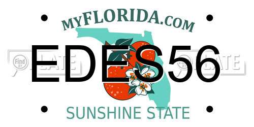 EDES56 Florida License Plate