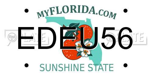 EDEU56 Florida License Plate