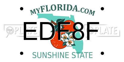 EDF8F Florida License Plate