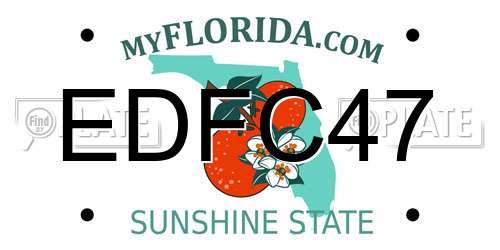 EDFC47 Florida License Plate