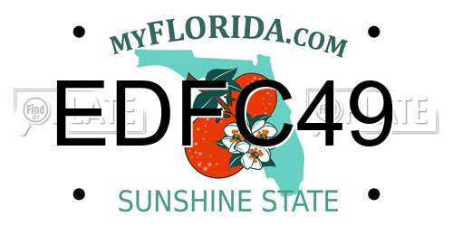 EDFC49 Florida License Plate