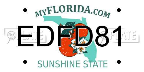 EDFD81 Florida License Plate