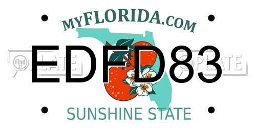 EDFD83 Florida License Plate