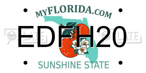 EDFH20 Florida License Plate