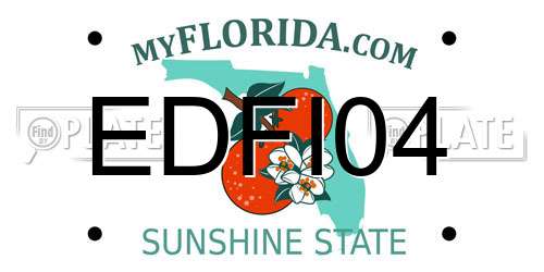 EDFI04 Florida License Plate
