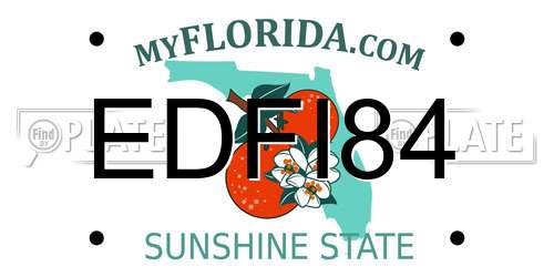 EDFI84 Florida License Plate