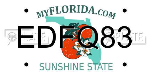 EDFQ83 Florida License Plate