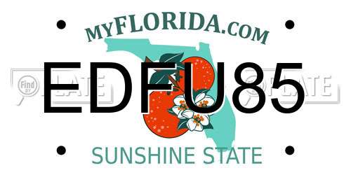 EDFU85 Florida License Plate
