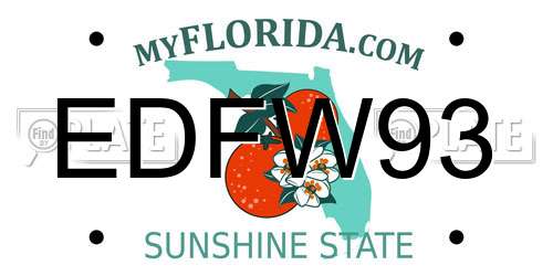 EDFW93 Florida License Plate