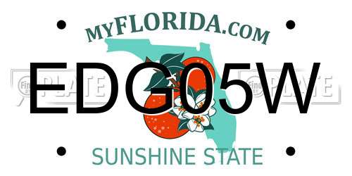 EDG05W Florida License Plate