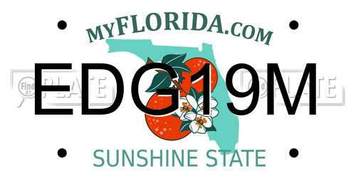 EDG19M Florida License Plate