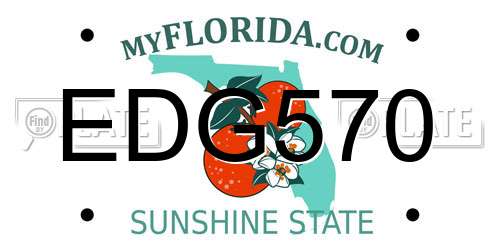 EDG570 Florida License Plate