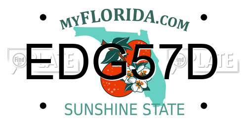 EDG57D Florida License Plate