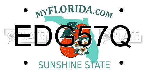 EDG57Q Florida License Plate