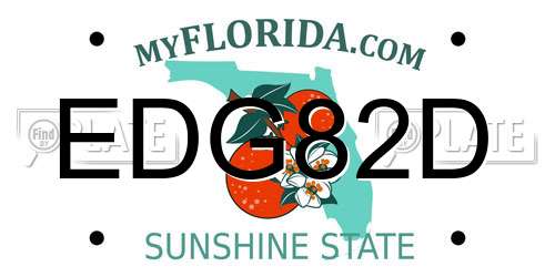 EDG82D Florida License Plate
