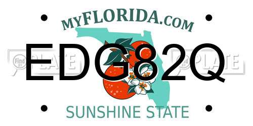 EDG82Q Florida License Plate