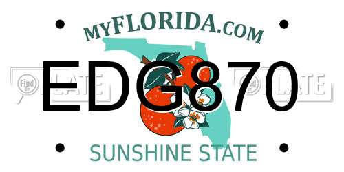 EDG870 Florida License Plate