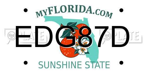 EDG87D Florida License Plate
