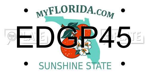 EDGP45 Florida License Plate