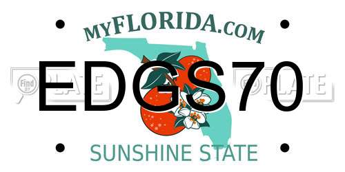 EDGS70 Florida License Plate