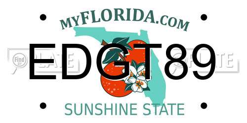 EDGT89 Florida License Plate