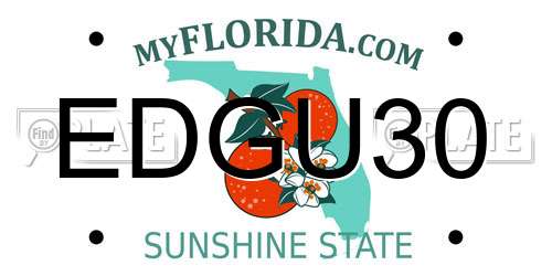 EDGU30 Florida License Plate