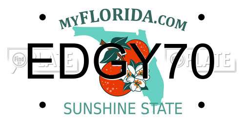 EDGY70 Florida License Plate