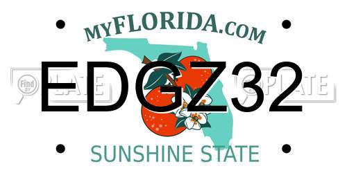 EDGZ32 Florida License Plate