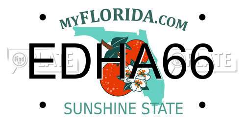EDHA66 Florida License Plate