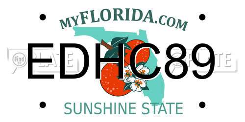 EDHC89 Florida License Plate