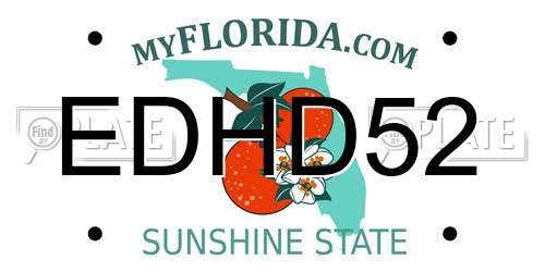 EDHD52 Florida License Plate