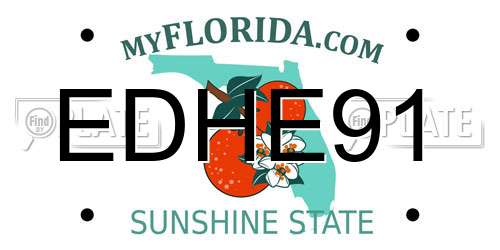 EDHE91 Florida License Plate