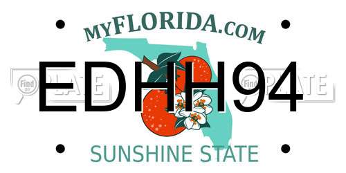 EDHH94 Florida License Plate