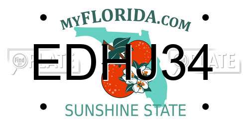 EDHJ34 Florida License Plate