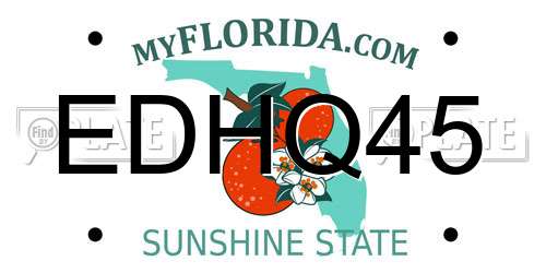 EDHQ45 Florida License Plate