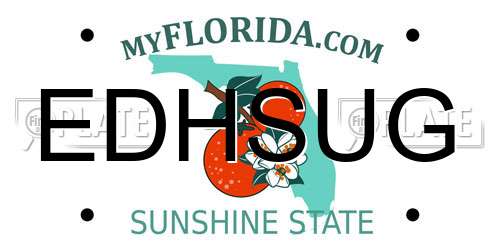 EDHSUG Florida License Plate