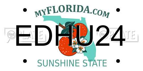 EDHU24 Florida License Plate