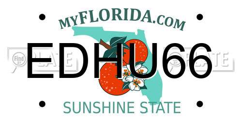 EDHU66 Florida License Plate