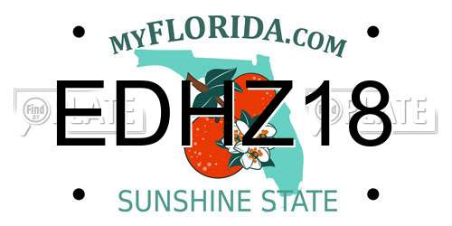 EDHZ18 Florida License Plate