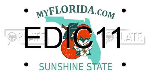 EDIC11 Florida License Plate