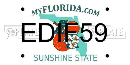EDIF59 Florida License Plate