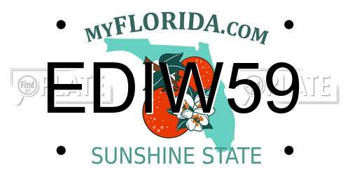 EDIW59 Florida License Plate