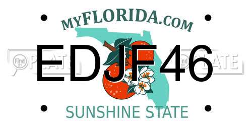 EDJF46 Florida License Plate
