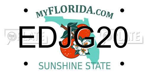 EDJG20 Florida License Plate