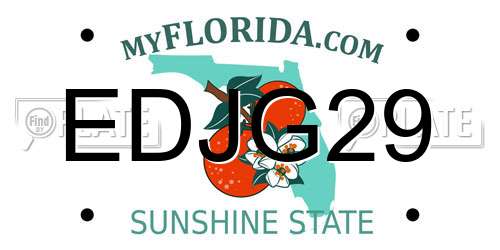 EDJG29 Florida License Plate