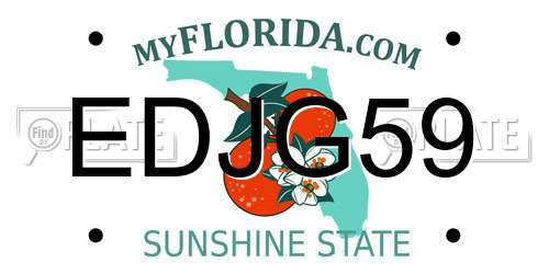 EDJG59 Florida License Plate