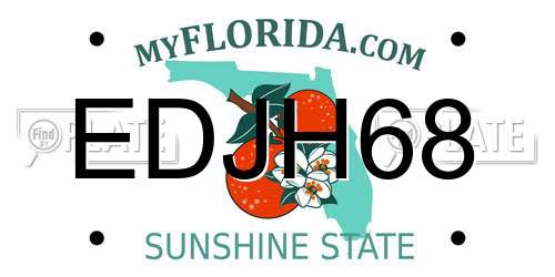 EDJH68 Florida License Plate