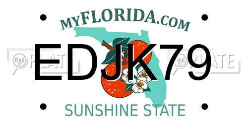 EDJK79 Florida License Plate